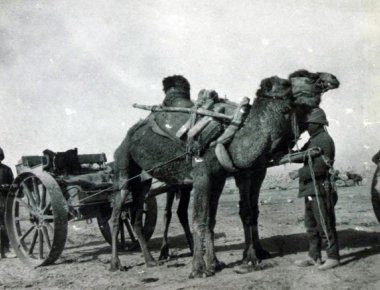 Δέκα ασήμαντες αφορμές που πυροδότησαν πολέμους (φωτό)